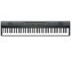 KORG Liano Metallic Gray