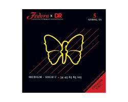 Fodera STR-5-34105-SS-XS